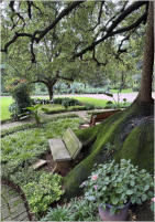 BigtreeBB - Dining, Flowers, Garden Wedding, Lapa