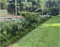BigtreeBB - Dining, Flowers, Garden Wedding, Lapa