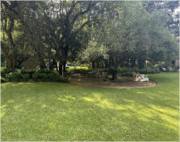 BigtreeBB - Dining, Flowers, Garden Wedding, Lapa