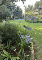 BigtreeBB - Dining, Flowers, Garden Wedding, Lapa