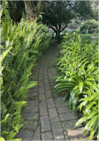 BigtreeBB - Dining, Flowers, Garden Wedding, Lapa
