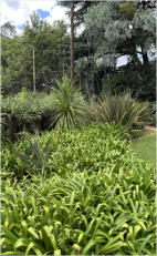 BigtreeBB - Dining, Flowers, Garden Wedding, Lapa