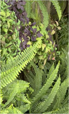 BigtreeBB - Dining, Flowers, Garden Wedding, Lapa