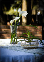 BigtreeBB - Dining, Flowers, Garden Wedding, Lapa