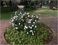 BigtreeBB - Dining, Flowers, Garden Wedding, Lapa
