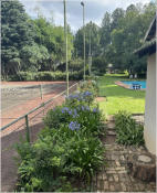 BigtreeBB - Dining, Flowers, Garden Wedding, Kuierplek Lapa