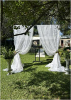 BigtreeBB - Dining, Flowers, Garden Wedding, Kuierplek Lapa