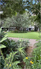 BigtreeBB - Dining, Flowers, Garden Wedding, Kuierplek Lapa