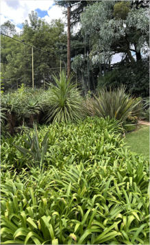 BigtreeBB - Dining, Flowers, Garden Wedding, Kuierplek Lapa