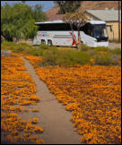 View Namakwaland - with Coachman...